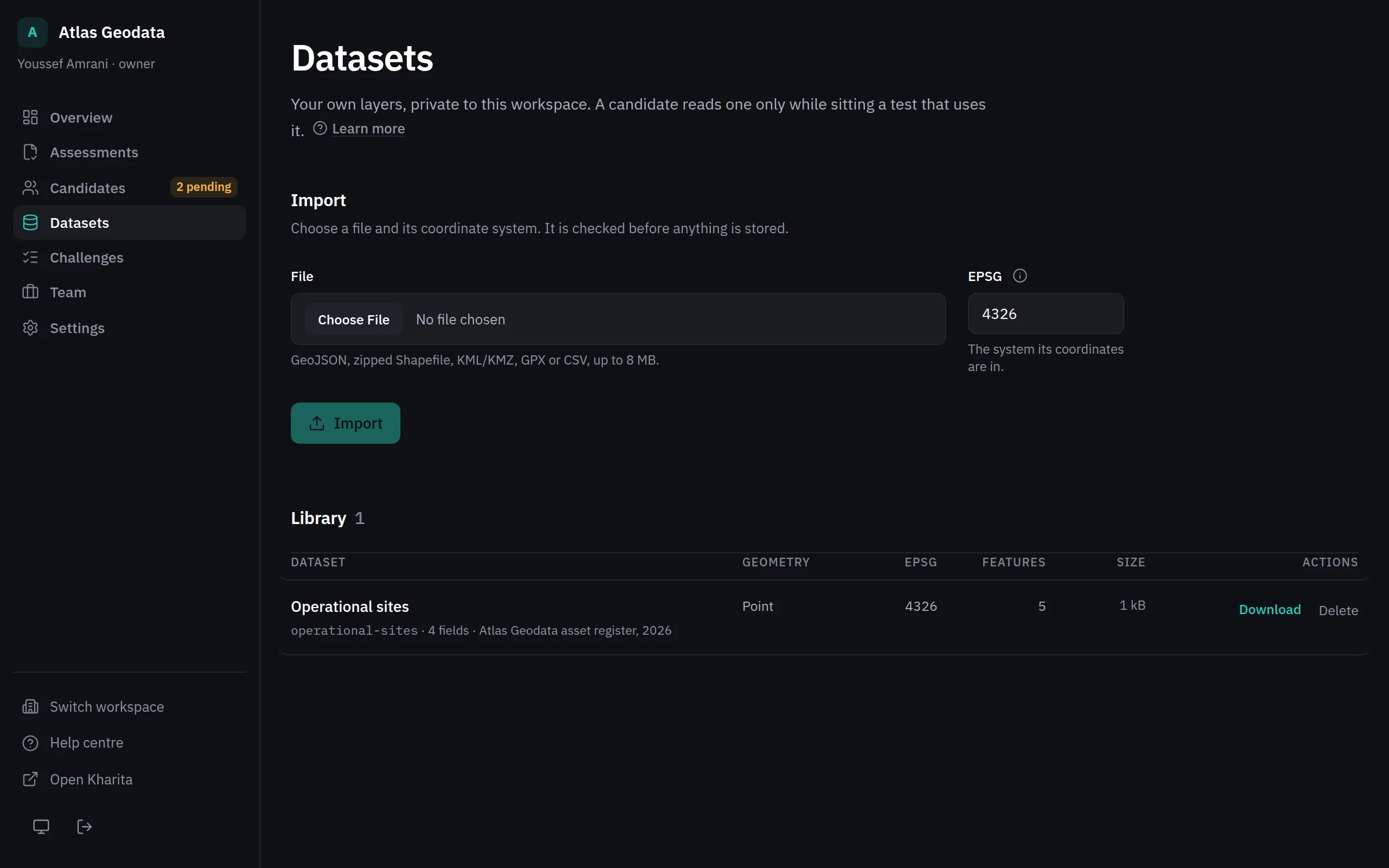 The Datasets page: the import form and the library of imported datasets with their geometry, EPSG, features and size.